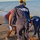 Marina rescata a lobo marino en San Felipe y lo traslada a la UABC en Mexicali para atención veterinaria
