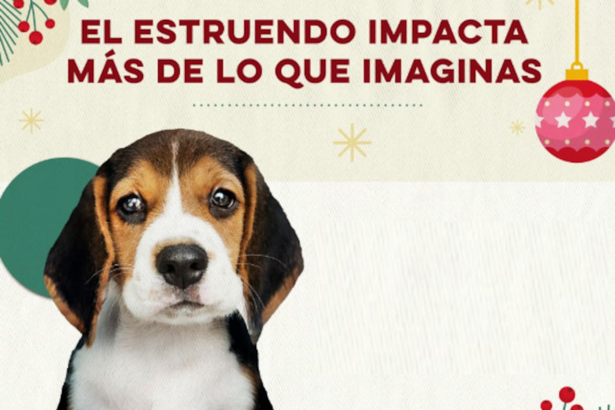 ¿Sabes los riesgos de la pirotecnia? Gobierno de Sonora advierte: ¡No la uses!