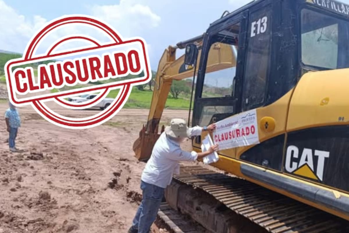 Clausura Profepa predio en Aguascalientes por devastar 4.7 hectáreas de vegetación sin permisos