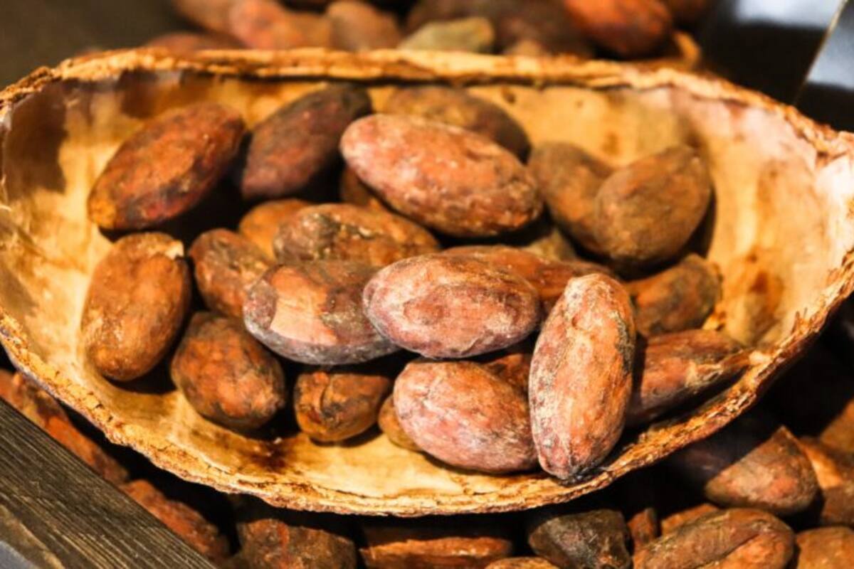 Diez beneficios del cacao para tu salud