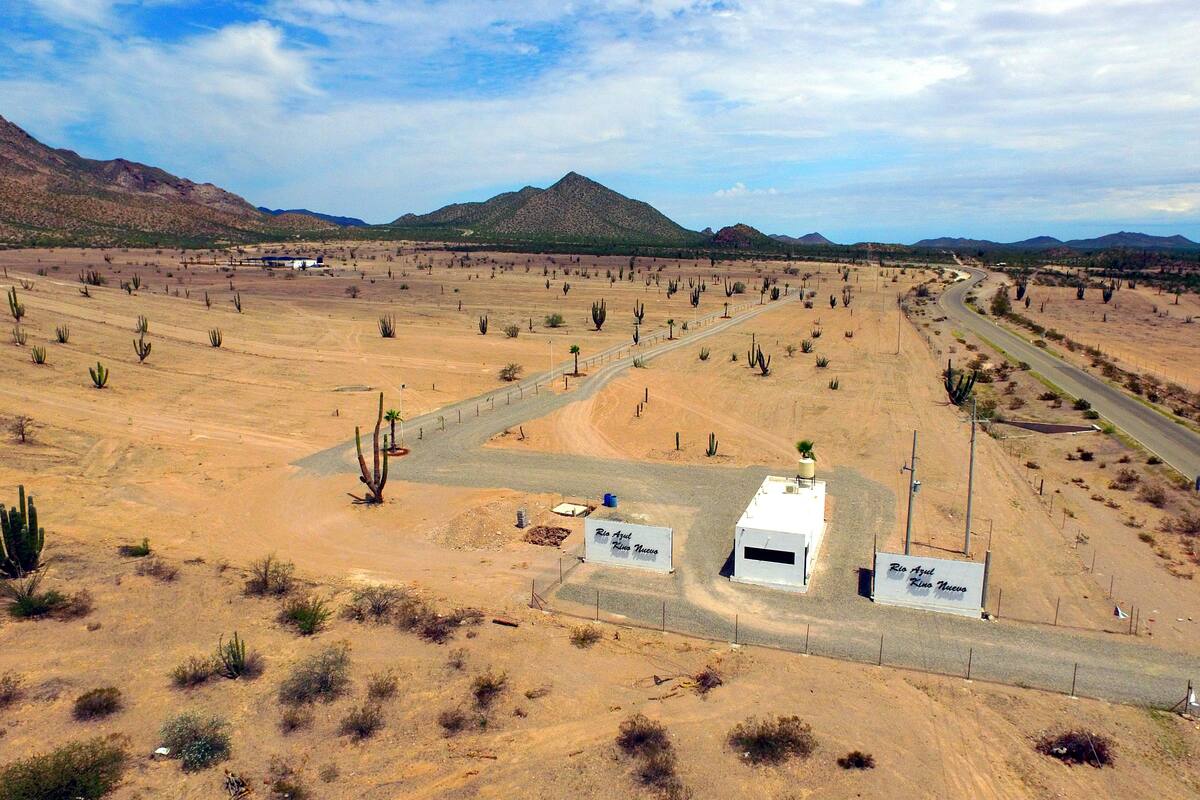 Denuncian tala de 50 hectáreas en predio de Bahía de Kino