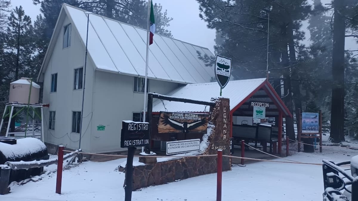 Protección Civil compartió imágenes de los paisajes nevados en el Parque Nacional, reconocido por su cielo limpio, biodiversidad y el Observatorio Astronómico Nacional. Foto: Cortesía
