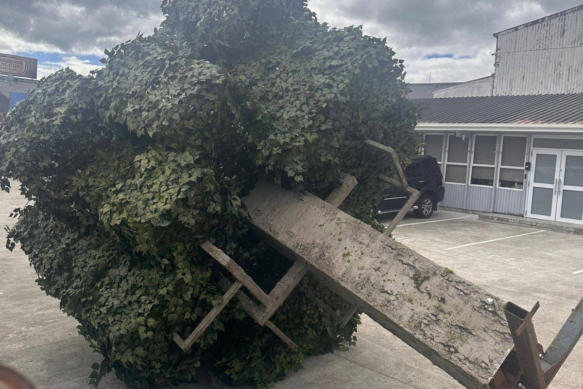 Minecraft: Se filtran imágenes de la próxima película