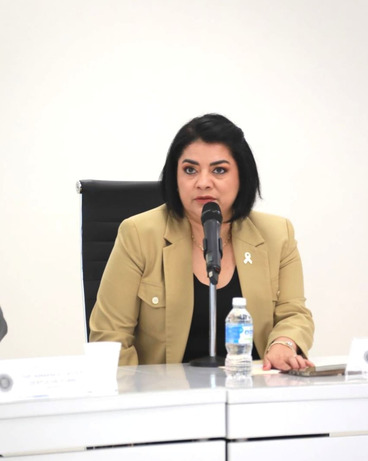 La diputada local de Morena, en Tampico, Tamaulipas, Úrsula Patricia Salazar Mojica, quién es sobrina del ex Presidente Andrés Manuel López Obrador (AMLO). | Crédito: X @Ursula_PSM