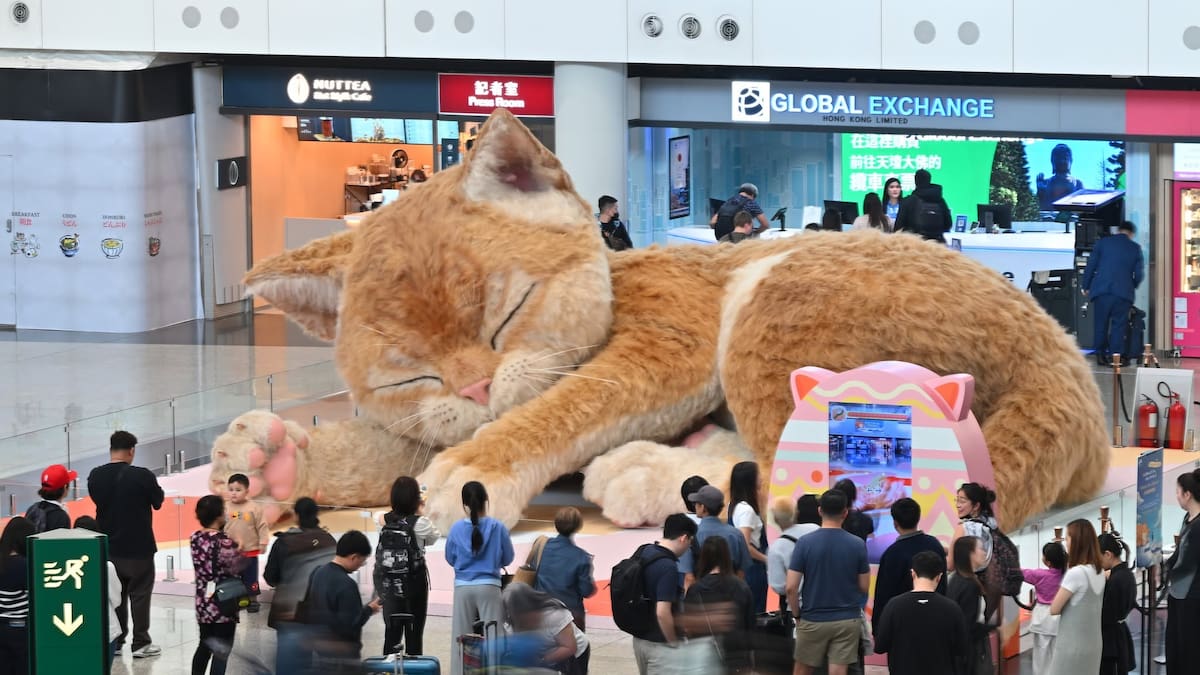 Un gato gigante de ocho metros llegó al aeropuerto de Hong Kong y ahora los pasajeros pueden interactuar con él en tiempo real, tomar fotografías y crear recuerdos personalizados durante su viaje
