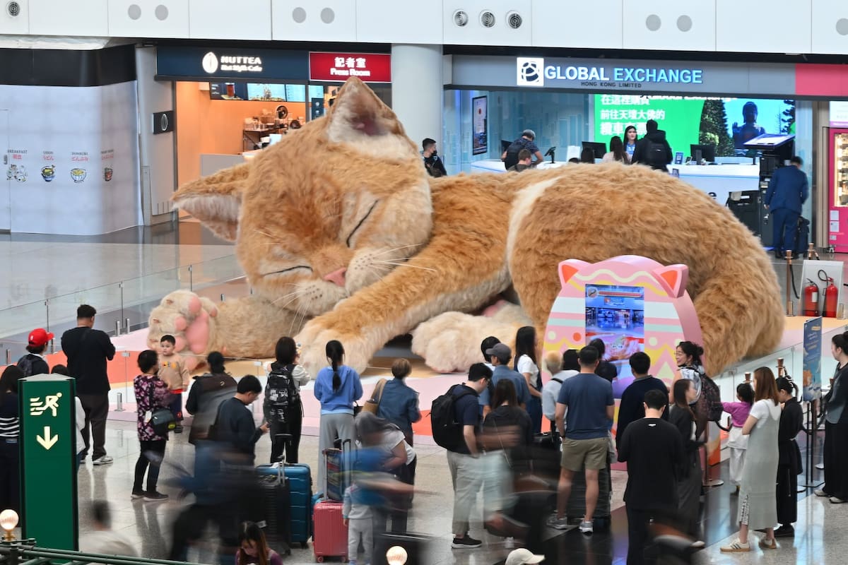 Un gato gigante de ocho metros llegó al aeropuerto de Hong Kong y ahora los pasajeros pueden interactuar con él en tiempo real, tomar fotografías y crear recuerdos personalizados durante su viaje