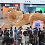 Un gato gigante de ocho metros llegó al aeropuerto de Hong Kong y ahora los pasajeros pueden interactuar con él en tiempo real, tomar fotografías y crear recuerdos personalizados durante su viaje