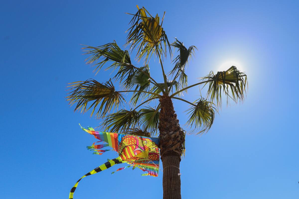 Llegará temperatura a 42° en Mexicali en la jornada electoral