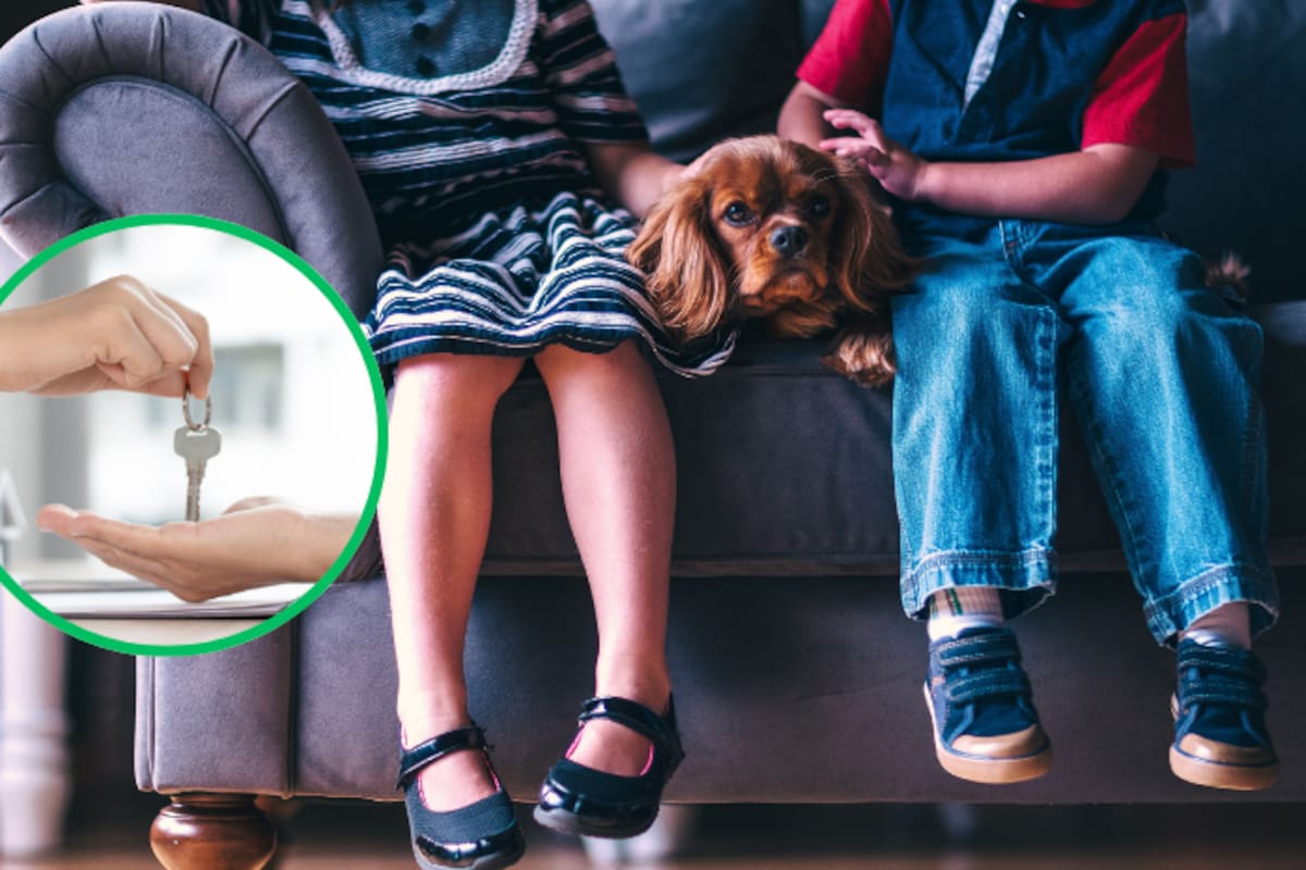 Aprueba Congreso de la CDMX prohibir discriminación por niños o mascotas en rentas de viviendas