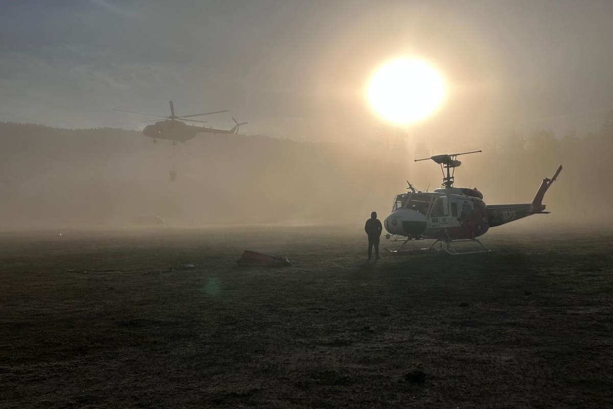Cumple 10 días incendio forestal en San Pedro Mártir