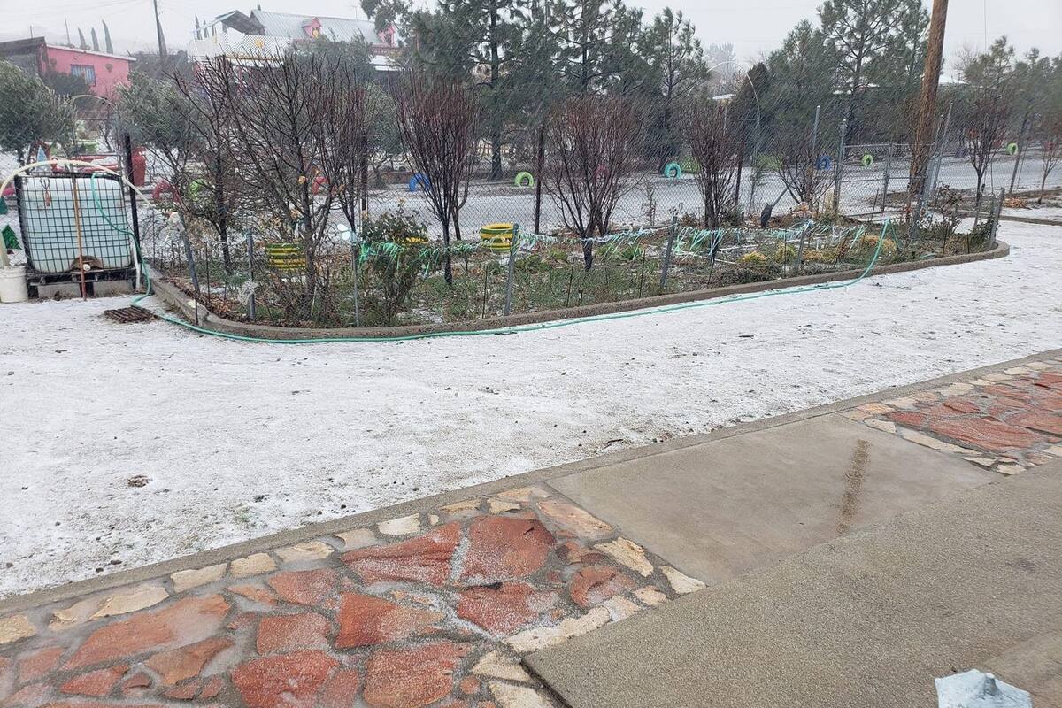 Cae primera nevada de 2024 en La Rumorosa