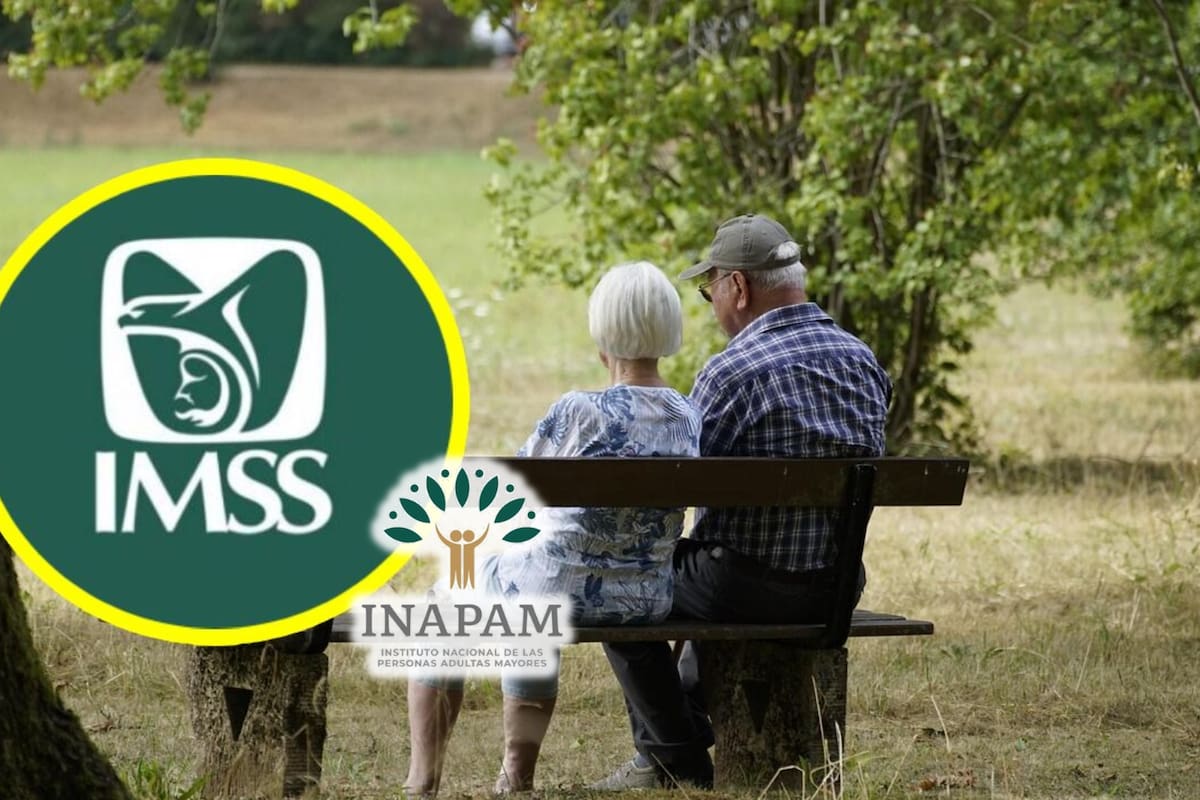 INAPAM lanza programa que ayuda a mejorar la pensión IMSS bajo Ley 73