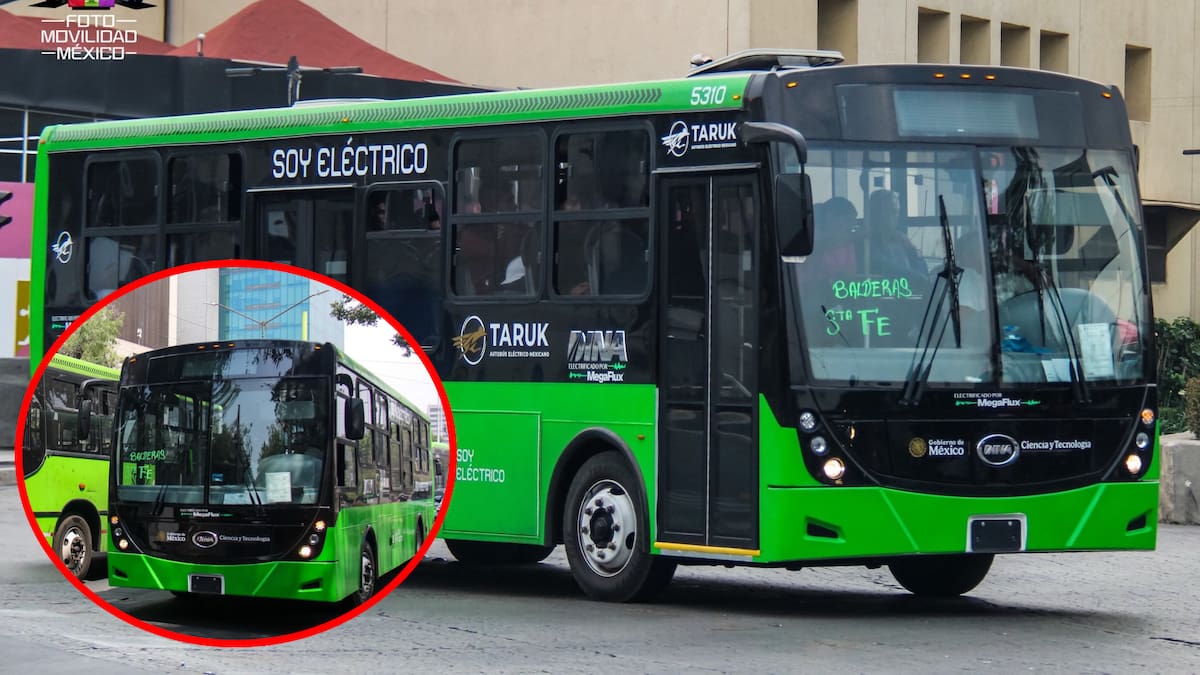 Taruk, el autobús eléctrico mexicano que cada unidad estaría valorada en 7.5 MDP, se mantiene con carga continua por 15 horas y esperan en el 2027 tener más de 300 circulando a nivel nacional