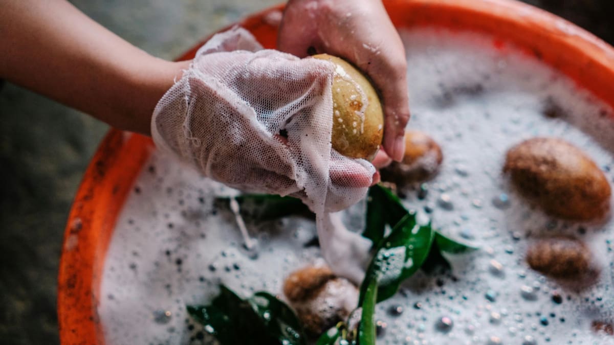 Los riesgos de no desinfectar las verduras correctamente | Foto: Especial