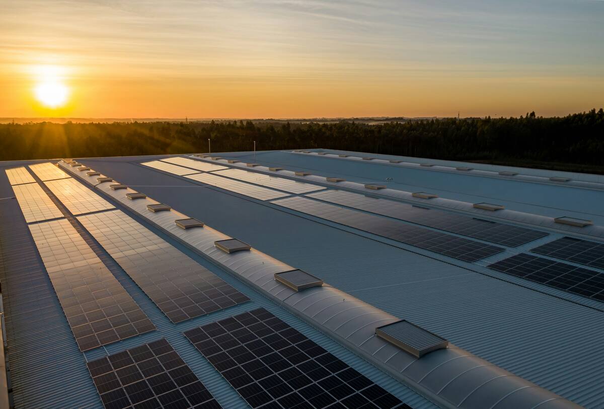 paneles solares