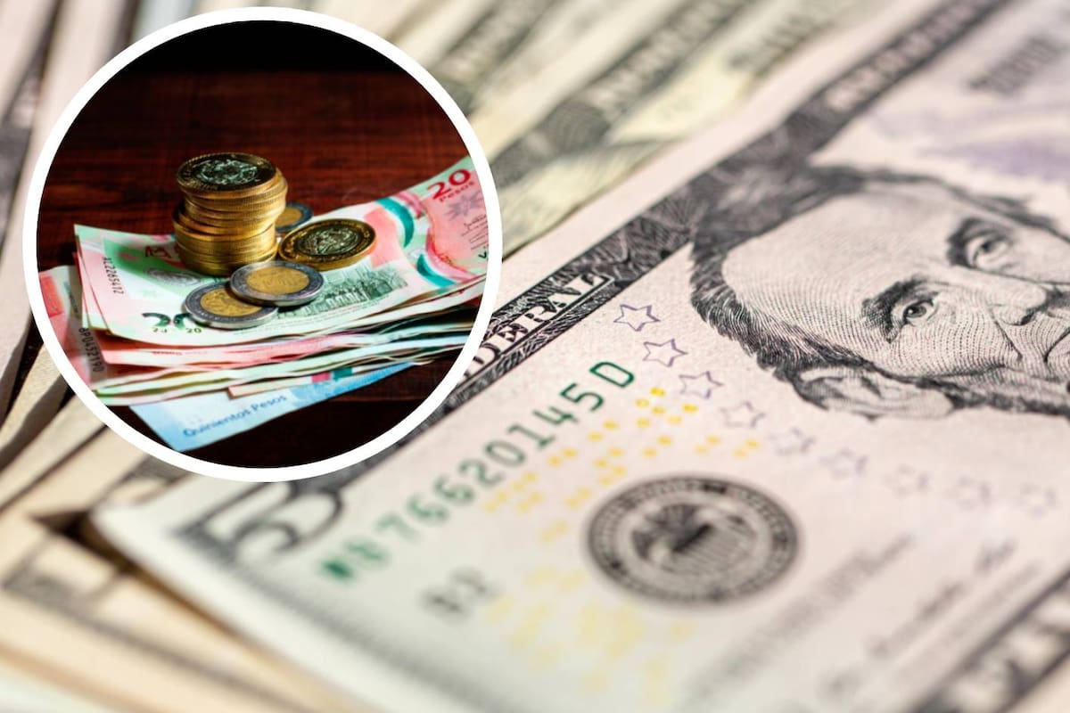 Dólar vuelve a registrar pérdidas frente al peso y así cotiza el tipo de cambio este sábado 13 de septiembre de 2025