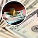 El dólar se aprecia fuertemente ante el peso y así cotiza el tipo de cambio este sábado 11 de octubre de 2025