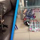 ¡Le dolió hasta a la FIFA! Perrita mexicana destroza el codiciado álbum mundialista Panini y se hace viral