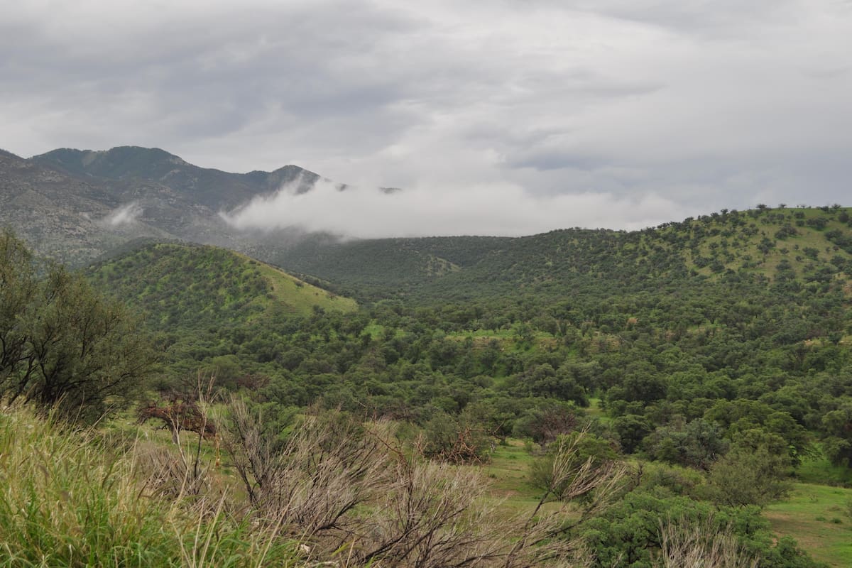 Lluvias podrían presentarse en gran parte de Sonora: estos son los municipios con mayor probabilidad