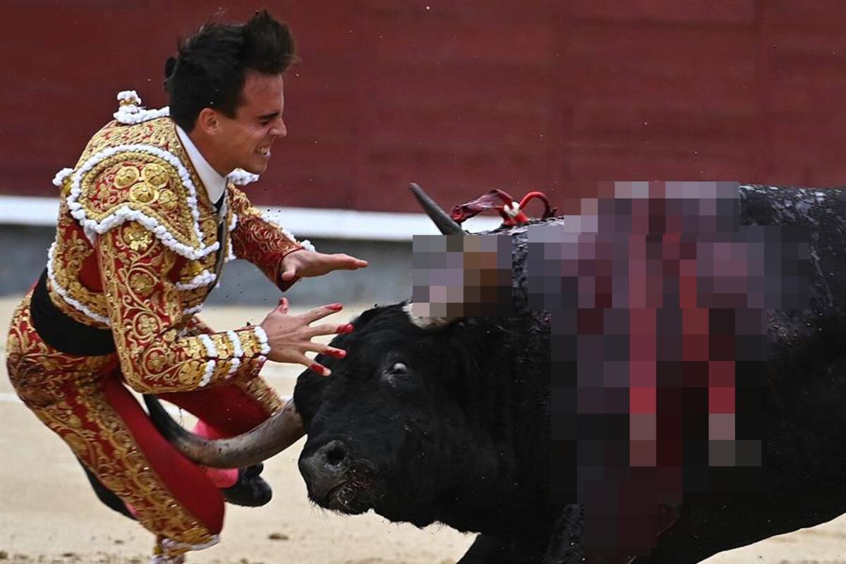 Peligra vida de novio de sobrina del rey Felipe VI por cornada