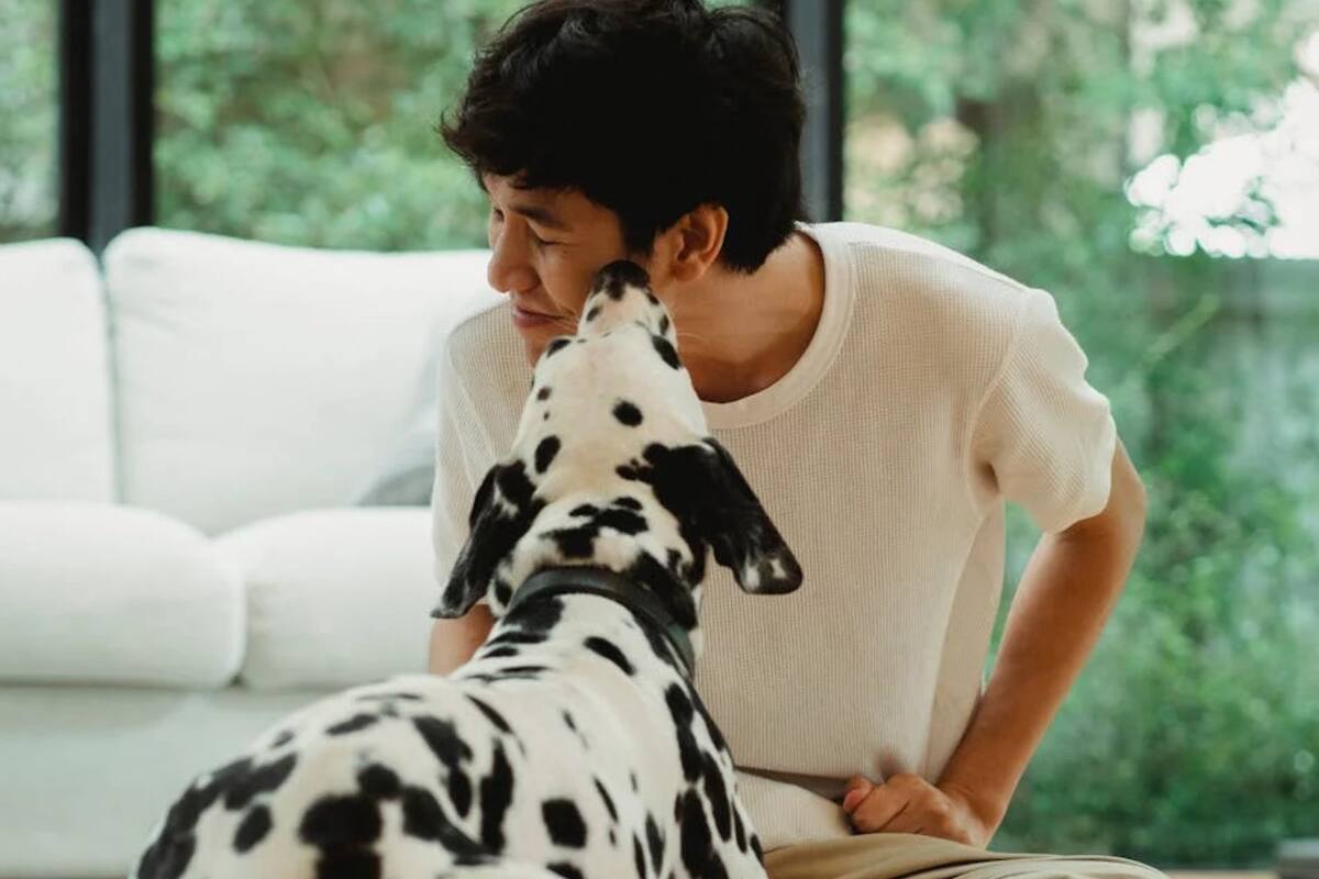 ¿Por qué los perros lamen la cara? Esta es la razón
