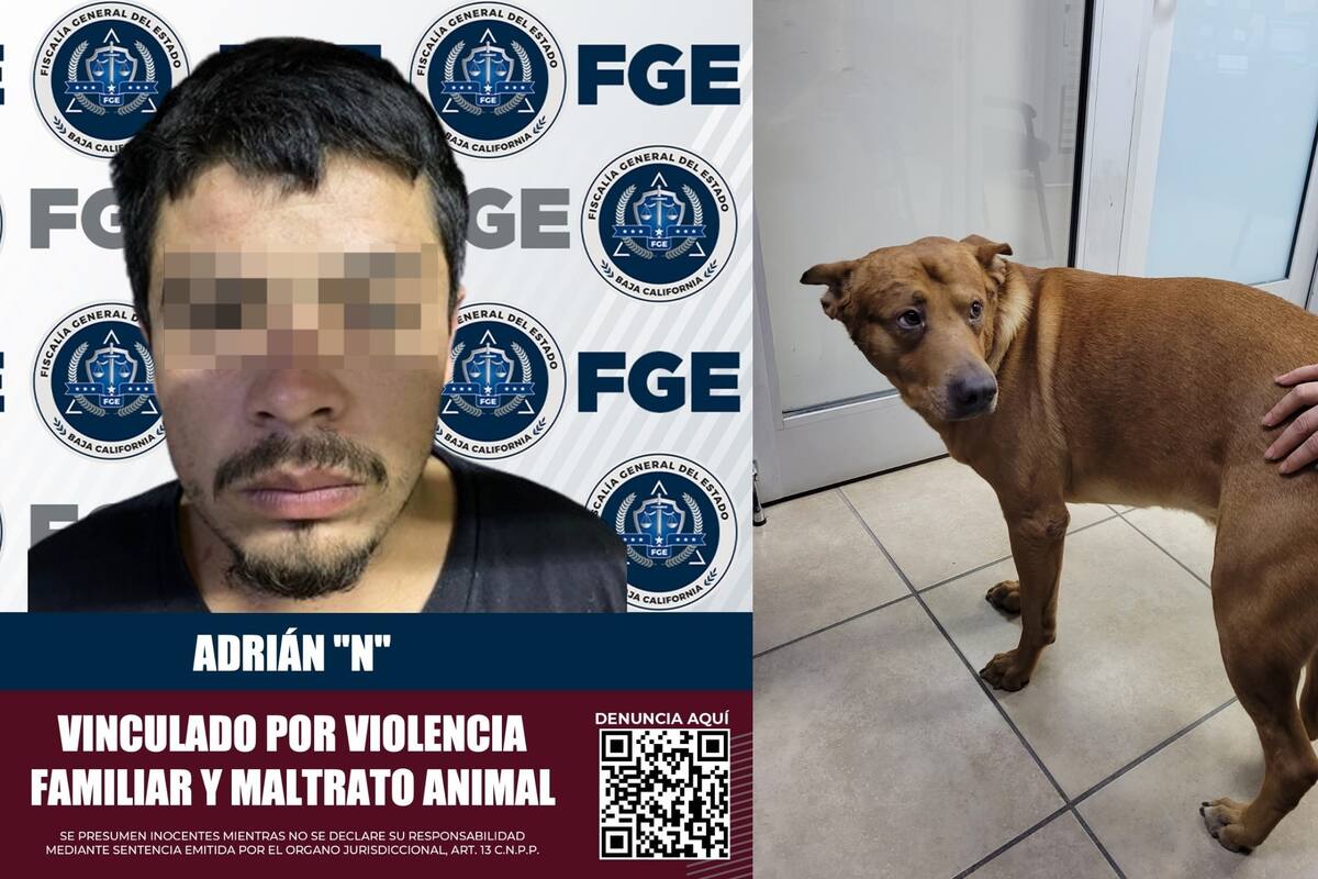 Vinculan a sujeto que golpeó a un familiar y trató de asfixiar a su mascota