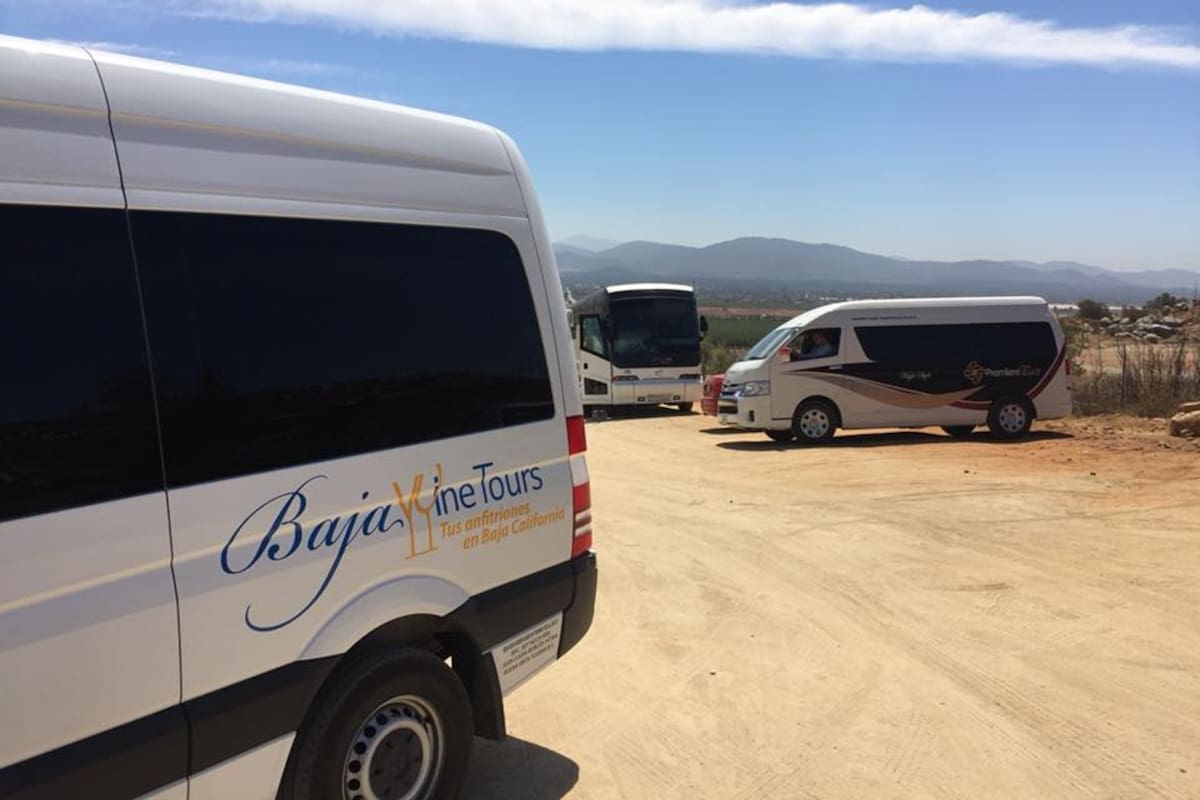 Fetraex señala colapso en sistema de licencias para transportistas en Ensenada