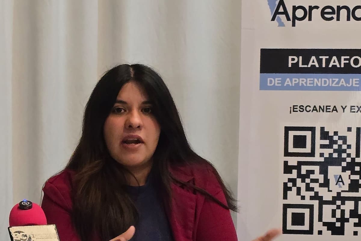 Crece demanda de profesionistas en capacitación tecnológica