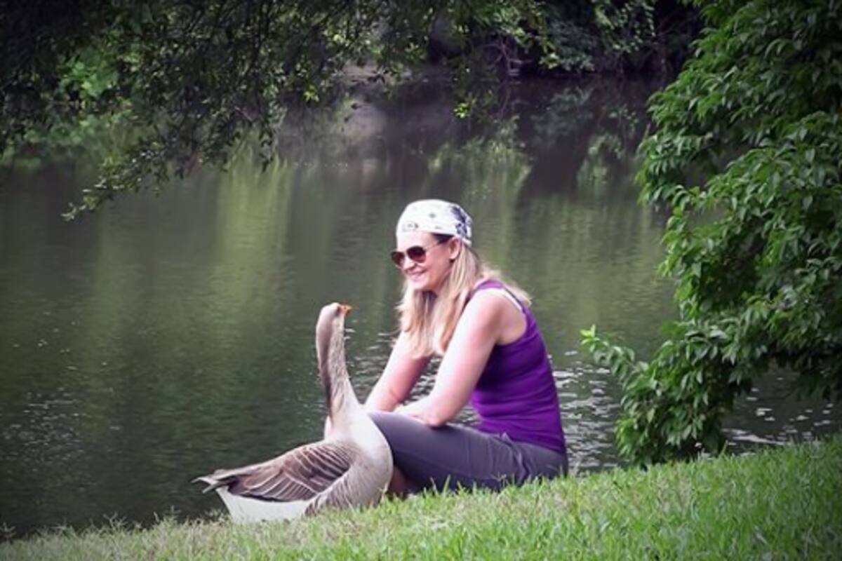 Adopta a ganso que la perseguía en el parque