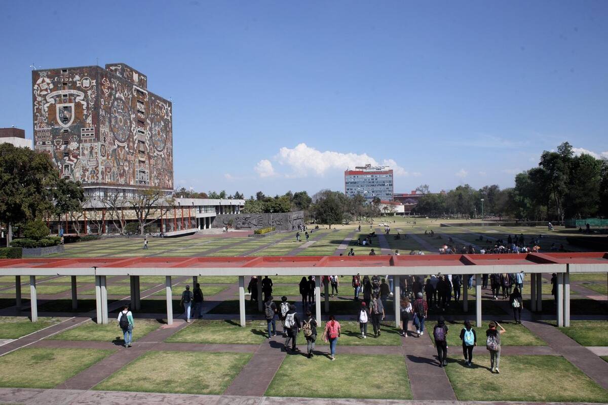 Alumna de la UNAM crea nueva opción contra la osteoporosis