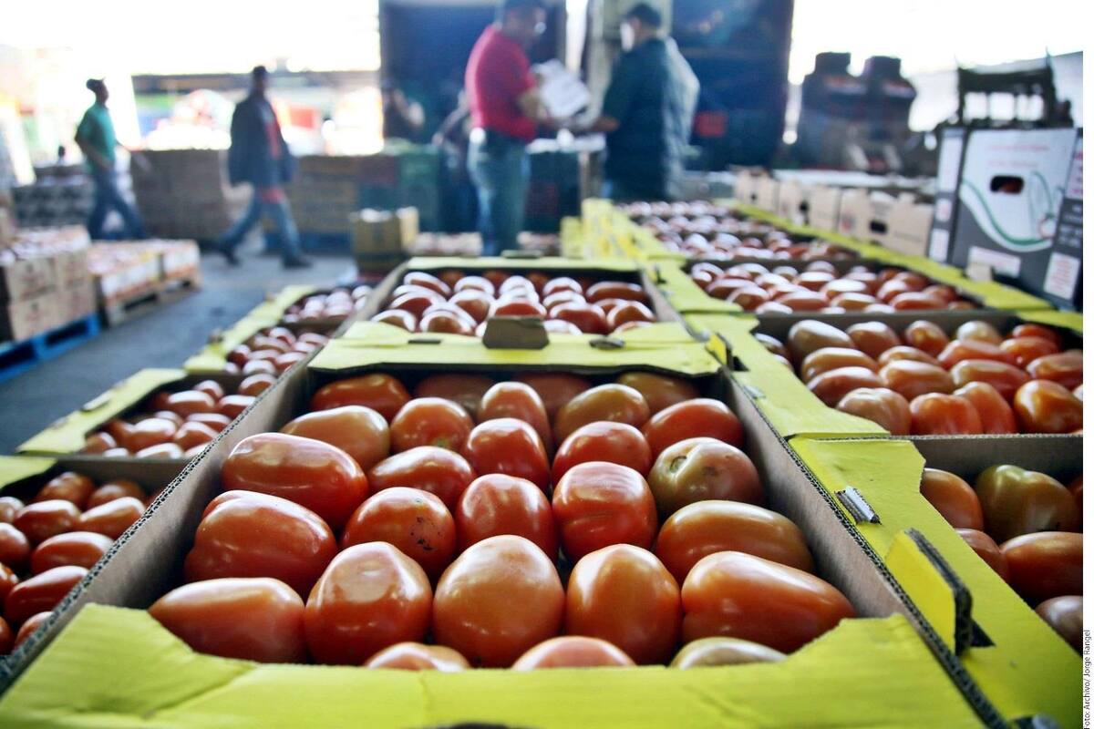 Bajaría la superficie de tomate en Sonora por cobro de arancel