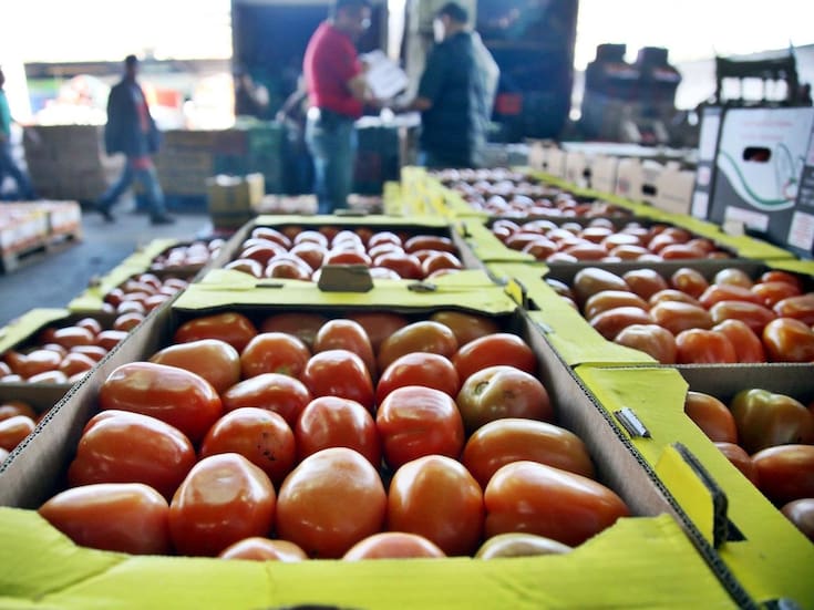 Sonora, entre los 7 grandes exportadores de tomate afectados por arancel de EEUU
