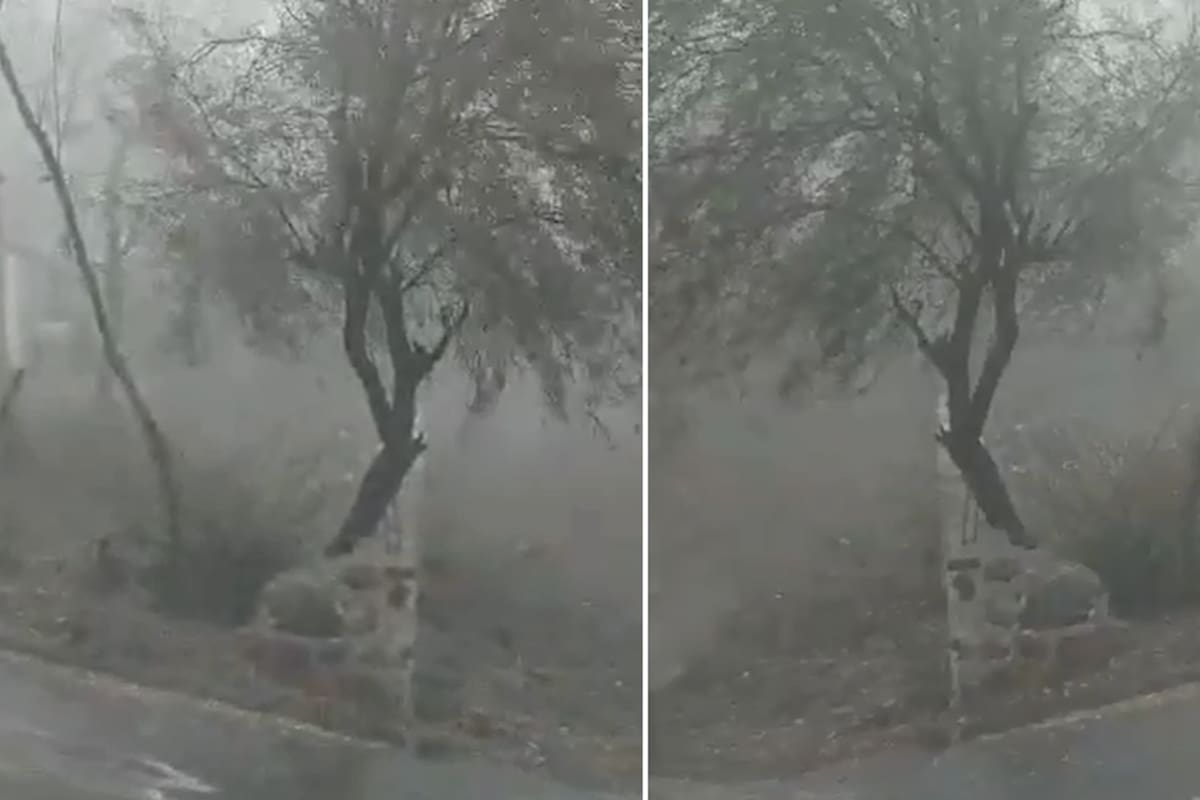Cae primera lluvia en Álamos; ganaderos hicieron misa esperándola
