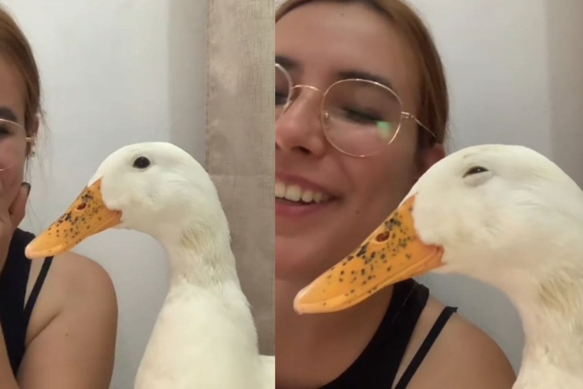Mujer revela cómo se ve un pato sonriendo y se hace viral en TikTok