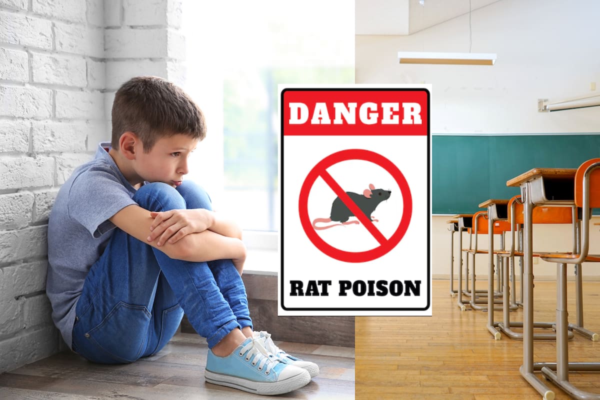 Niño con autismo ingiere veneno de rata en el salón de clases; la maestra solo le dio leche y terminó hospitalizado