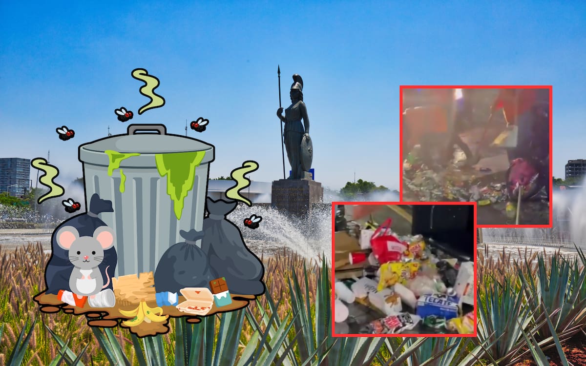 Foto: Canva/Capturas de video.