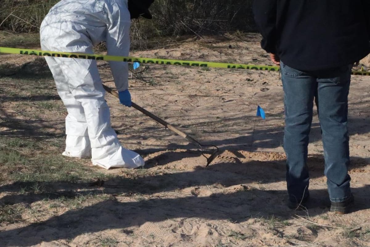 Padres buscadores encuentran 7 cuerpos completos el año pasado