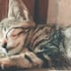 Dormir en frío: cómo la temperatura del dormitorio mejora el sueño y la salud