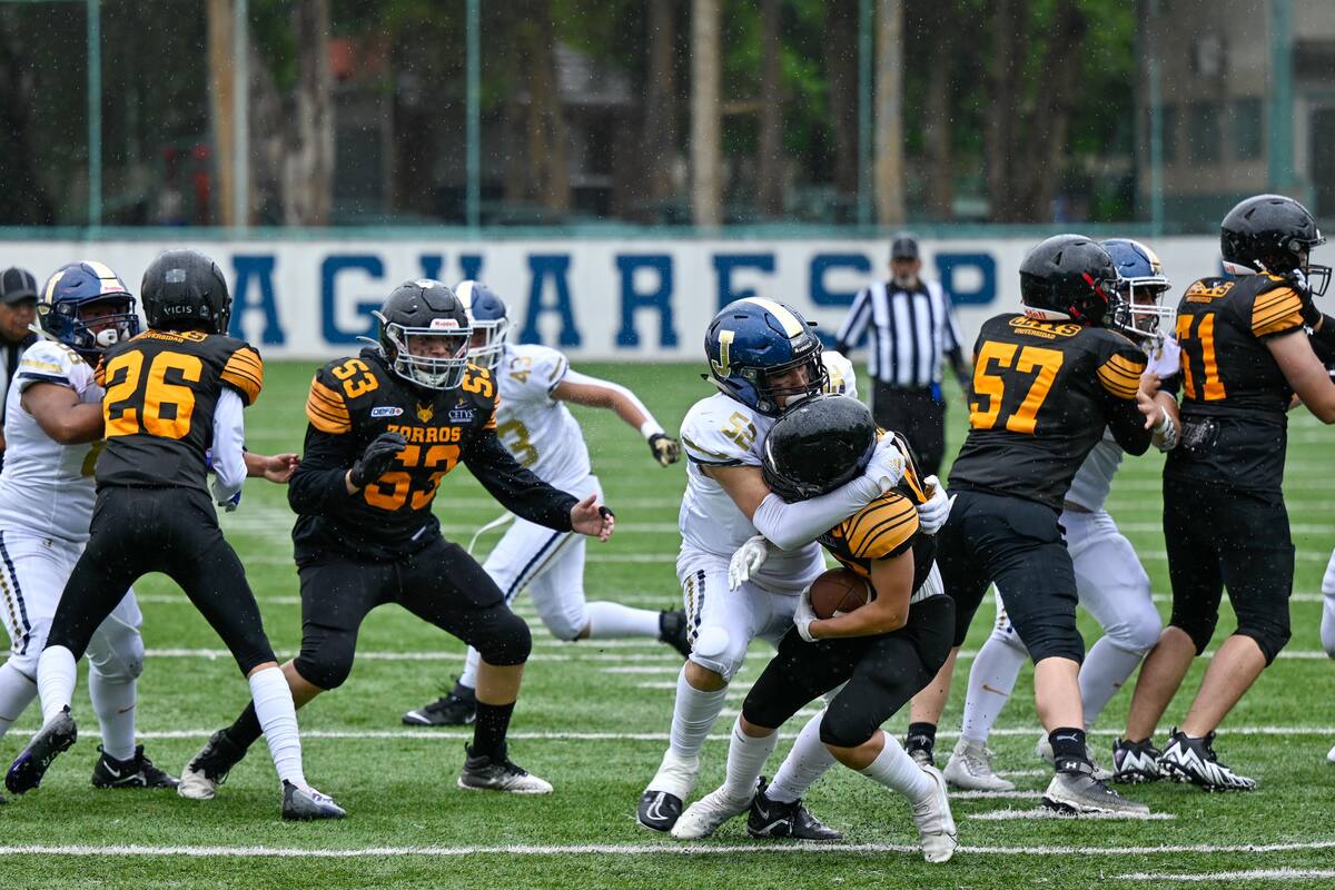 Regresan las acciones al emparrillado dentro de la OEFA