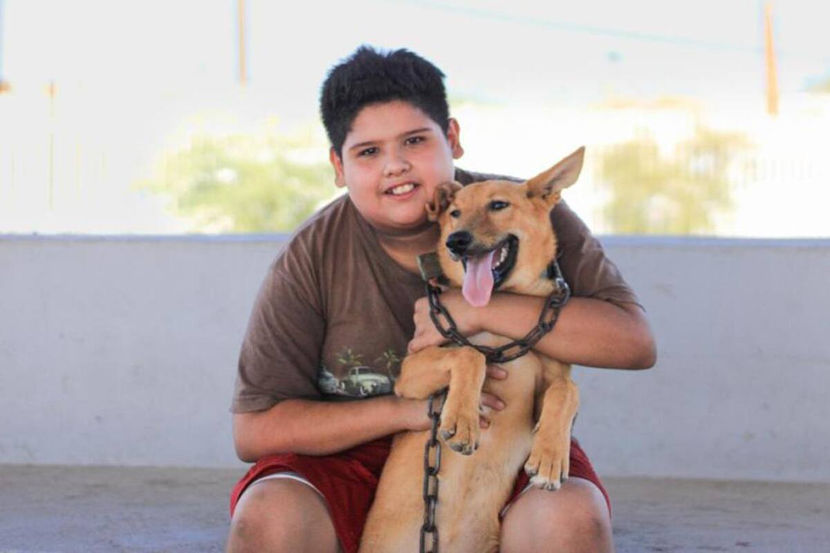 BC cumple 56 años libre de rabia en humanos y 40 años sin rabia en perros