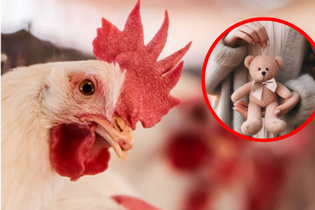 Hacen pruebas a 38 personas cercanas a niña que falleció por influenza aviar H5N1  en México