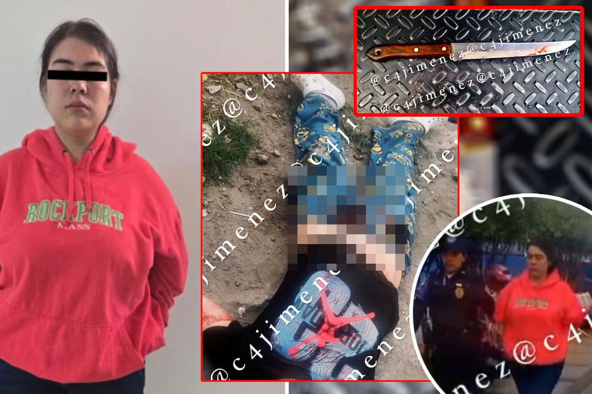 Brisa asesinó a su novio después de sospechar que le estaba siendo infiel; lo apuñaló múltiples veces en los genitales