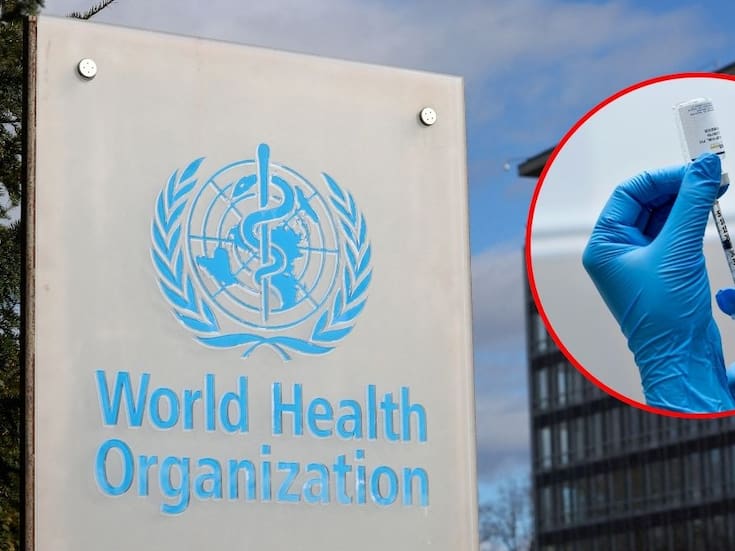 La OMS define los tres componentes de la vacuna contra la gripe para el hemisferio sur en 2026