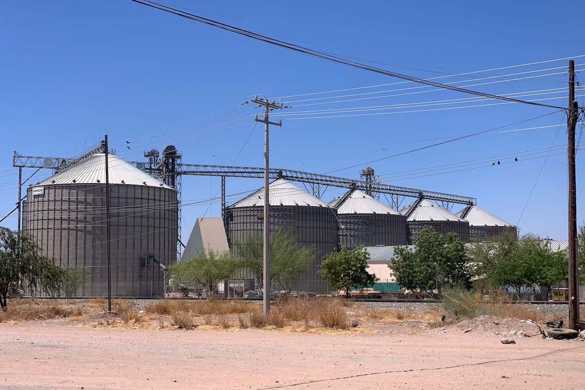 Pararían molinos en el Valle del Yaqui al bajar producción de trigo