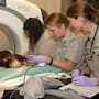 Hospital veterinario del Safari Park celebra 25 años de salvar y cuidar la vida silvestre.