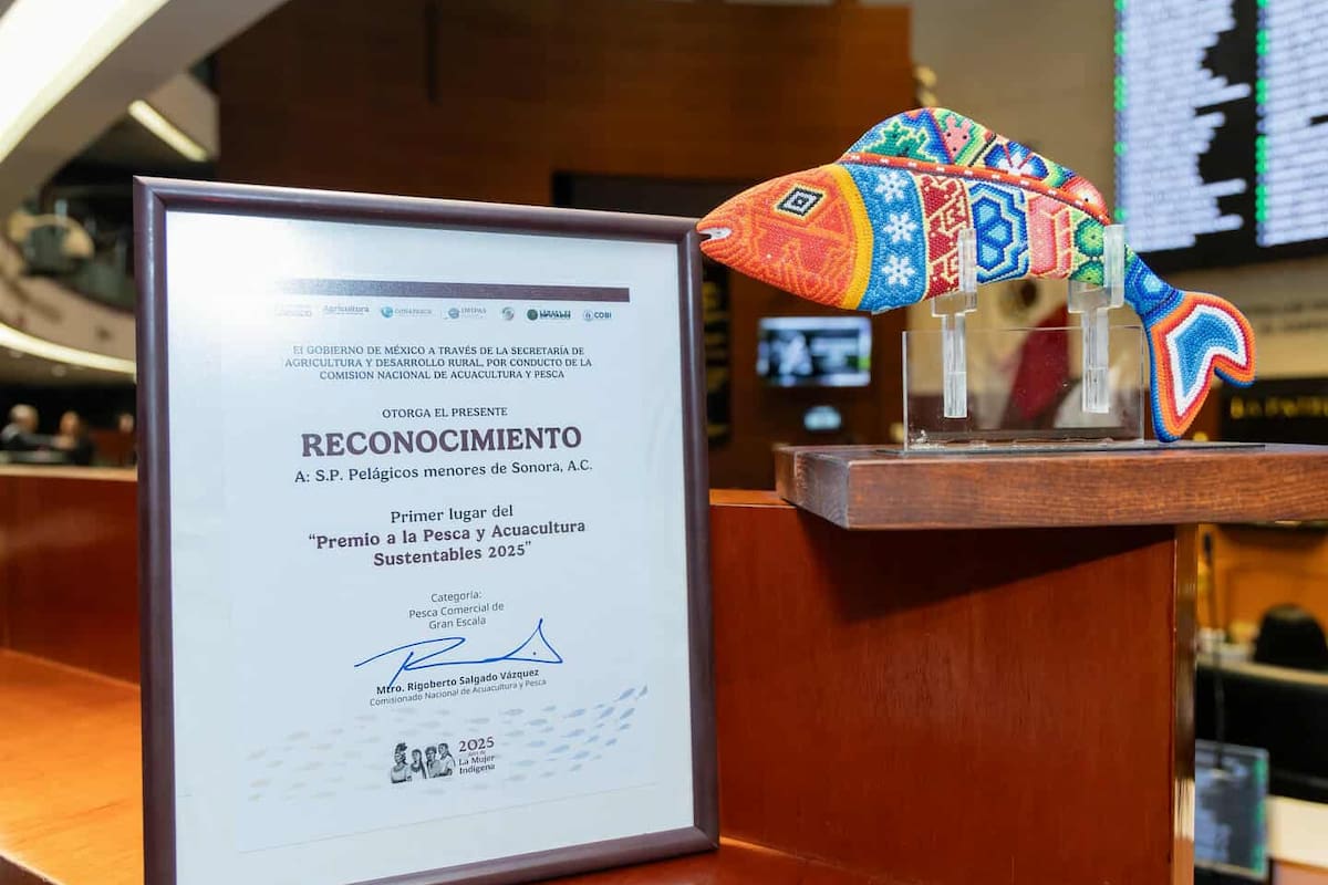 Reconocen sistema innovador de producción de sardina