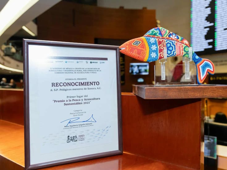 Reconocen sistema innovador de producción de sardina