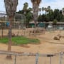 Santuarios deberán contar con planes de manejo autorizados para recibir animales del Parque Morelos