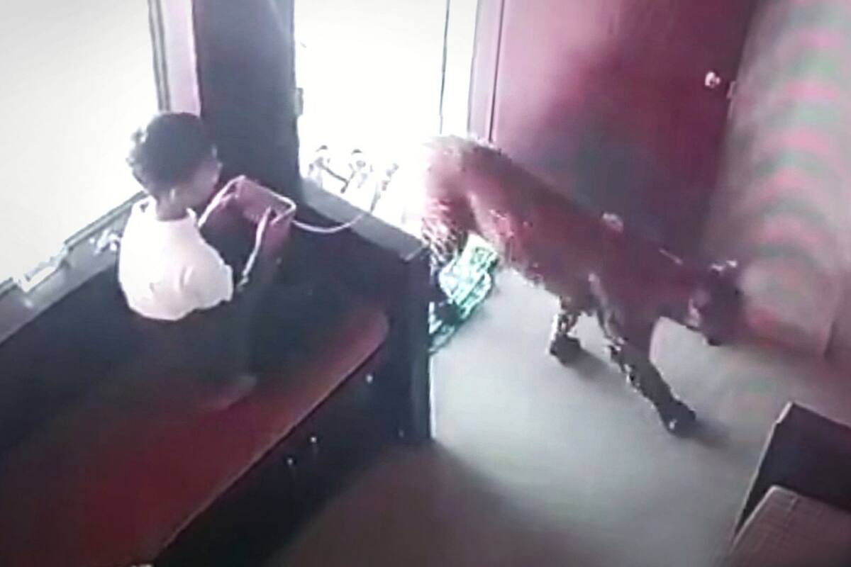 VIRAL: Niño mantiene la calma y encierra a un leopardo en India