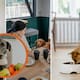 Estos son los cinco errores más comunes en la alimentación de los perritos que podrías estar cometiendo